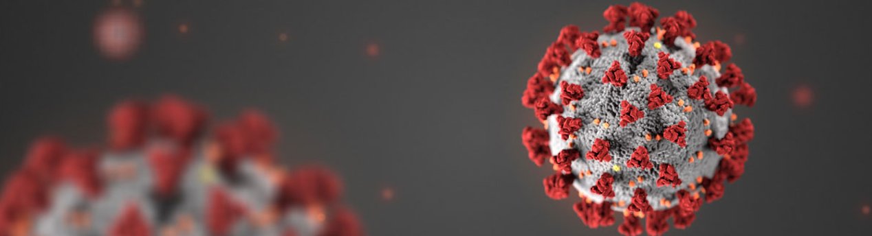 Coronavirus COVID-19