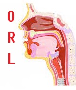 Formation Médicale Continue en ligne En O.R.L