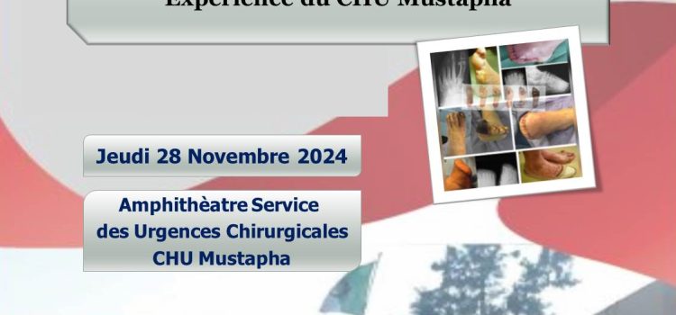 Journée De Formation Médicale Continue : Prise en Charge du Pied Diabétique Gagrené : Expérience du CHU Mustapha  Jeudi le 28 Novembre 2024